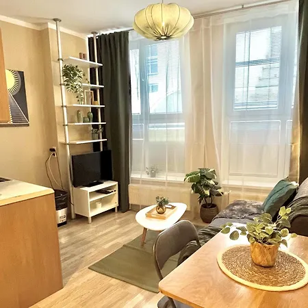 Jenny - Old Town, Free Private Parking, Ac Pressburg